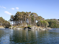 Loch Moidart