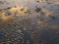 Rippled sand at low tide
